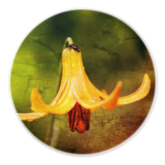 Wild Canada Lily met Insect Abstract Keramische Knop (Voorkant)