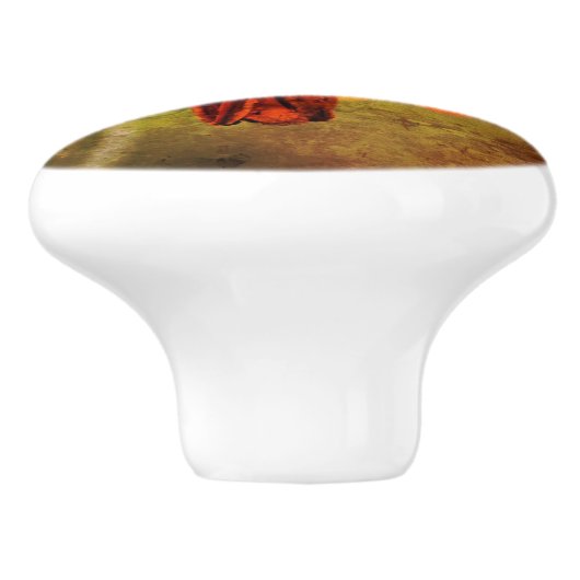 Wild Canada Lily met Insect Abstract Keramische Knop (Zijkant)