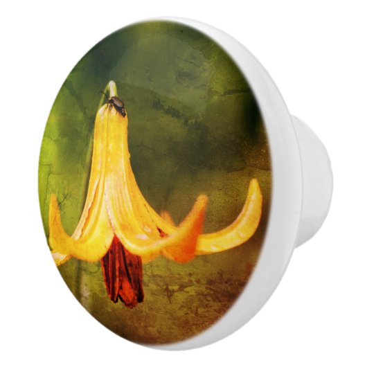 Wild Canada Lily met Insect Abstract Keramische Knop (Rechts)