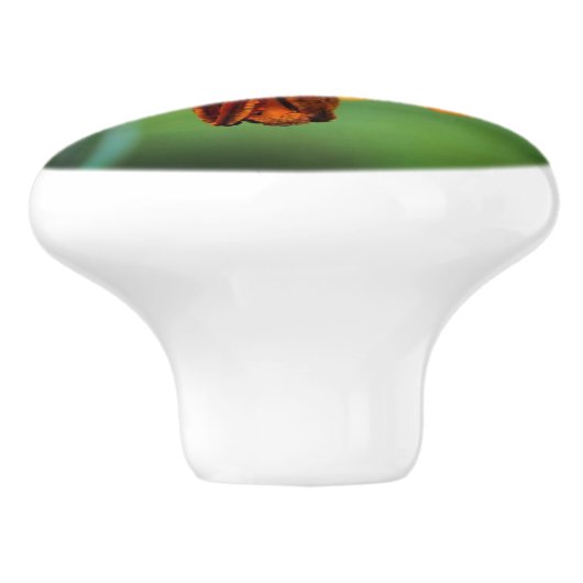 Wild Canada Lily with Insect Keramische Knop (Zijkant)