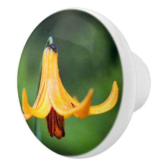 Wild Canada Lily with Insect Keramische Knop (Rechts)