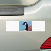 Wild Canadian Goose Bumpersticker (Op auto)