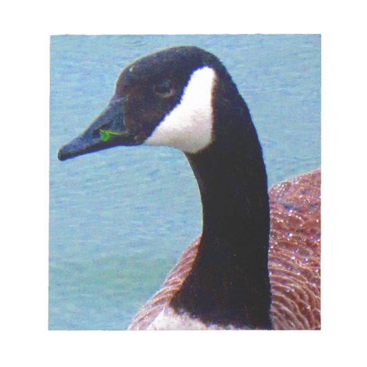 Wild Canadian Goose Notitieblok (Voorkant)