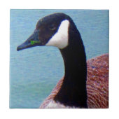 Wild Canadian Goose Tegeltje (Voorkant)