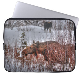 Wild Canadian Moose Koe in Winter Marsh Laptop Sleeve