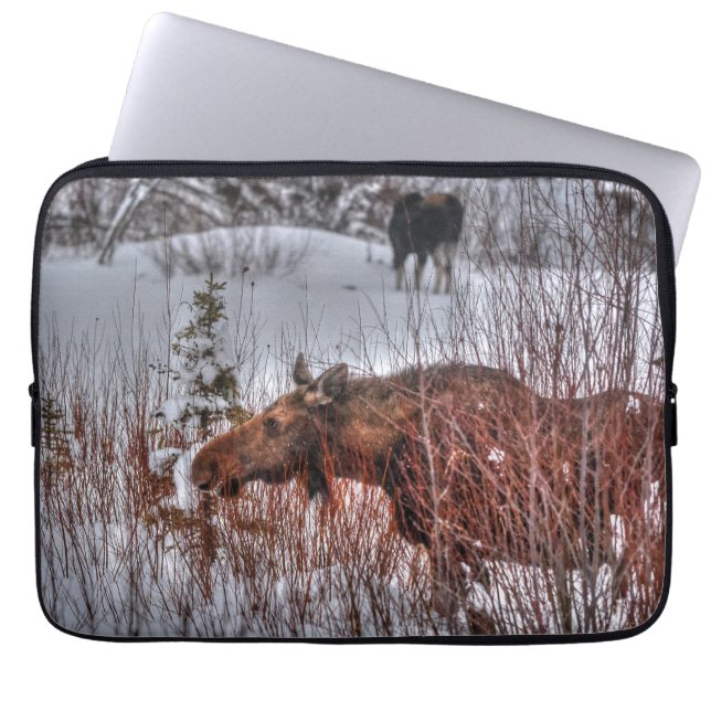 Wild Canadian Moose Koe in Winter Marsh Laptop Sleeve (Voorkant)
