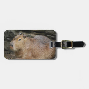 Wild Capybara Bagagelabel