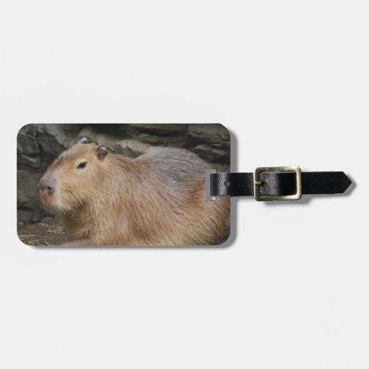 Wild Capybara Bagagelabel (Voorkant horizontaal)