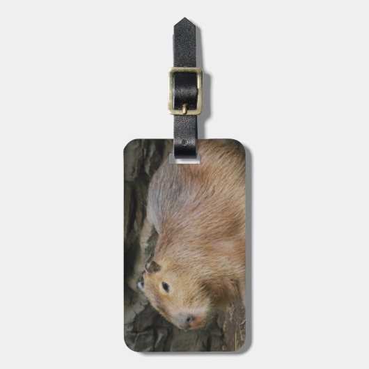 Wild Capybara Bagagelabel (Voorkant verticaal)