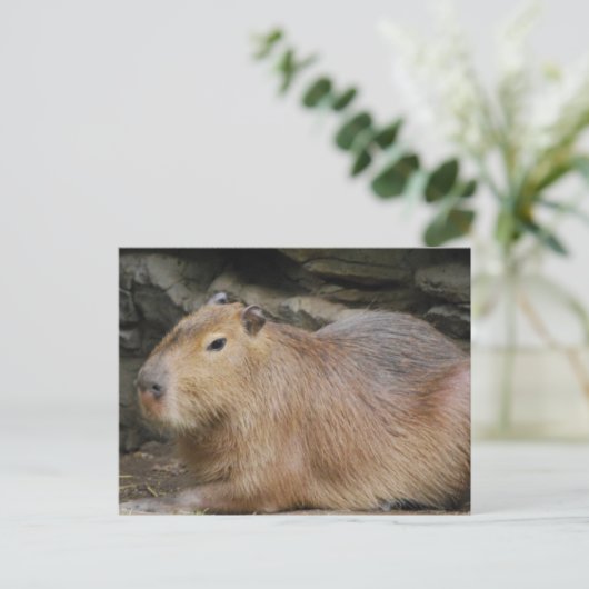Wild Capybara Briefkaart (Staand voorkant)