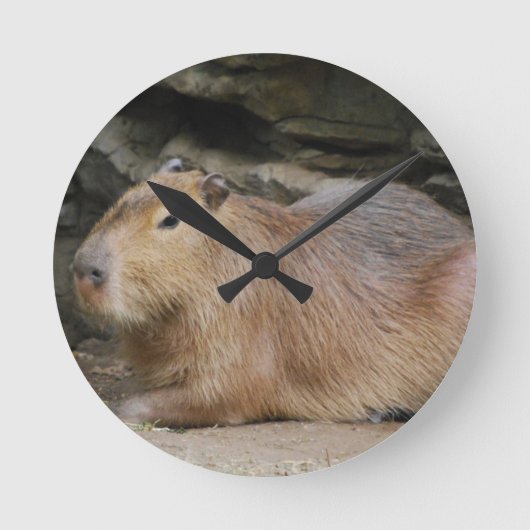 Wild Capybara Clock Ronde Klok (Voorkant)