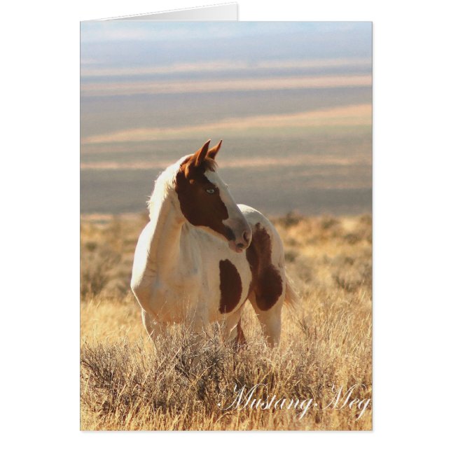 Wild Card~ Blue-eyed Little Mustang (Voorkant)