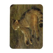 Wild Cat (door Rosa Bonheur) Magneet (Verticaal)