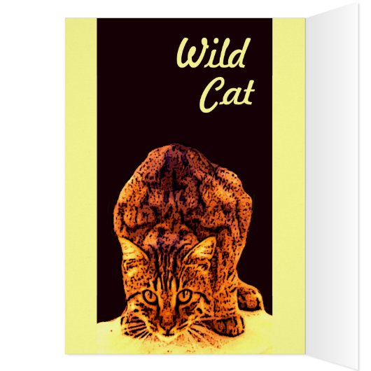 WILD CAT KITTEN (Binnen (Links))