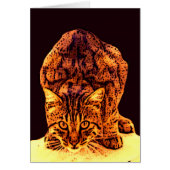 WILD CAT KITTEN (Voorkant)