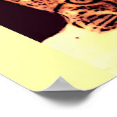 WILD CAT KITTEN POSTER (Hoek)