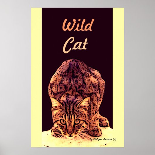 WILD CAT KITTEN POSTER (Voorkant)