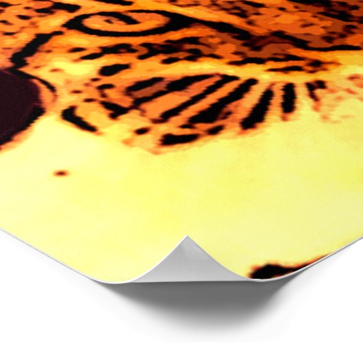 WILD CAT KITTEN POSTER (Hoek)