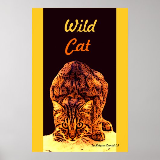 WILD CAT KITTEN POSTER (Voorkant)