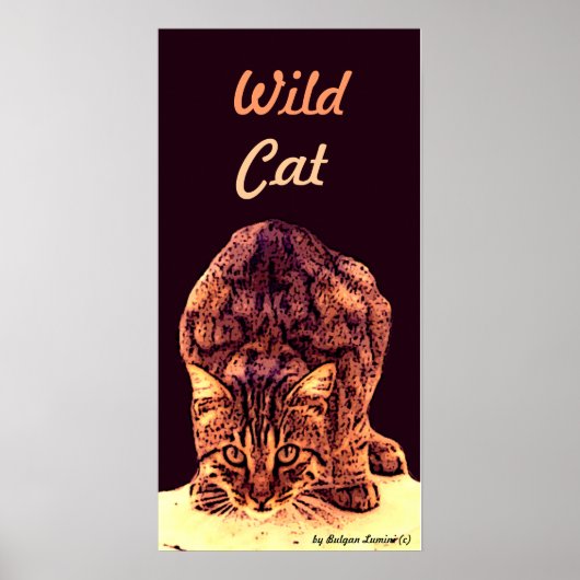 WILD CAT KITTEN POSTER (Voorkant)