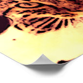 WILD CAT KITTEN POSTER (Hoek)