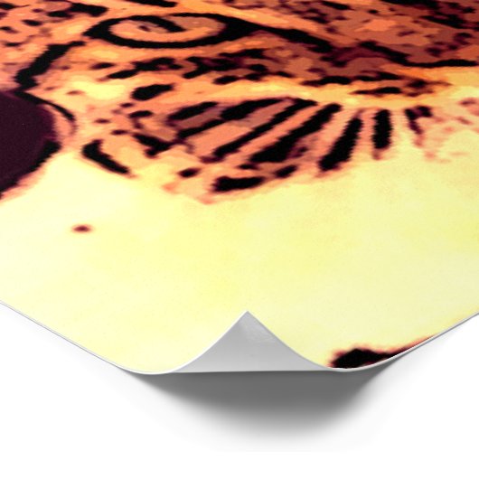 WILD CAT KITTEN POSTER (Hoek)