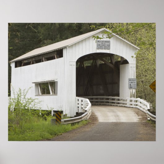 Wild Cat overdekte brug, Lane County, Oregon Poster (Voorkant)