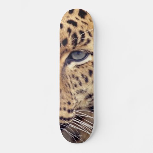 Wild Cat Persoonlijk Skateboard (Voorkant)