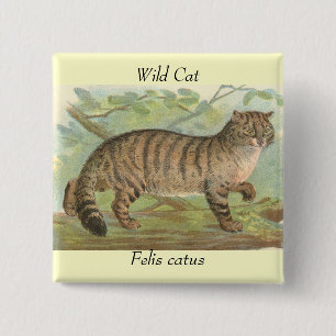 Wild Cat Vierkante Button 5,1 Cm