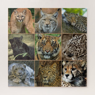 Wild Cats Photo Puzzle Legpuzzel
