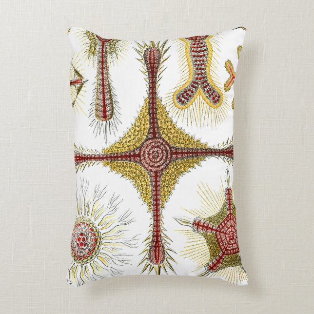 Wild Chamomile door Ernst Haeckel,  Natuur Accent Kussen (Voorkant(Verticaal))