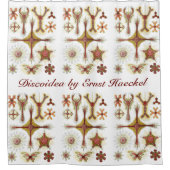 Wild Chamomile door Ernst Haeckel,  Natuur Douchegordijn (Voorkant)