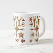 Wild Chamomile door Ernst Haeckel,  Natuur Grote Koffiekop (Voorkant rechts)