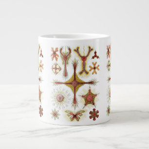 Wild Chamomile door Ernst Haeckel,  Natuur Grote Koffiekop