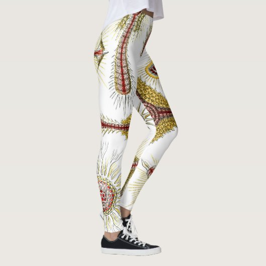 Wild Chamomile door Ernst Haeckel,  Natuur Leggings (Rechts)