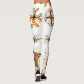 Wild Chamomile door Ernst Haeckel,  Natuur Leggings (Achterkant)