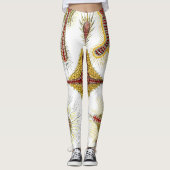 Wild Chamomile door Ernst Haeckel,  Natuur Leggings (Voorkant)