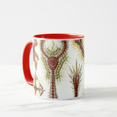 Wild Chamomile door Ernst Haeckel,  Natuur Mok (Voorkant links)