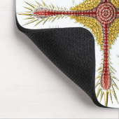 Wild Chamomile door Ernst Haeckel,  Natuur Muismat (Hoek)