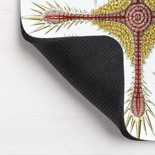 Wild Chamomile door Ernst Haeckel,  Natuur Muismat (Hoek)