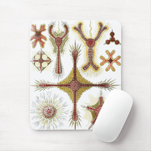 Wild Chamomile door Ernst Haeckel,  Natuur Muismat (Met muis)