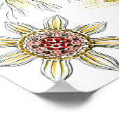 Wild Chamomile door Ernst Haeckel, Natuur Poster (Hoek)