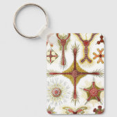 Wild Chamomile door Ernst Haeckel, Natuur Sleutelhanger (Voorkant)