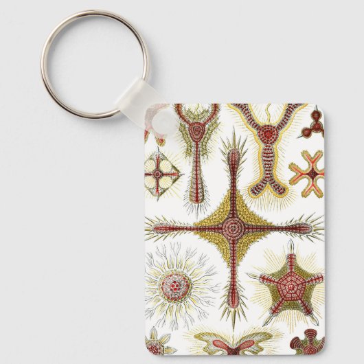Wild Chamomile door Ernst Haeckel,  Natuur Sleutelhanger (Voorkant)