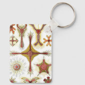 Wild Chamomile door Ernst Haeckel, Natuur Sleutelhanger (Achterkant)