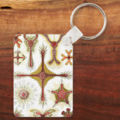 Wild Chamomile door Ernst Haeckel, Natuur Sleutelhanger (Achterkant)