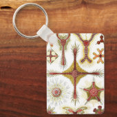 Wild Chamomile door Ernst Haeckel, Natuur Sleutelhanger (Voorkant)