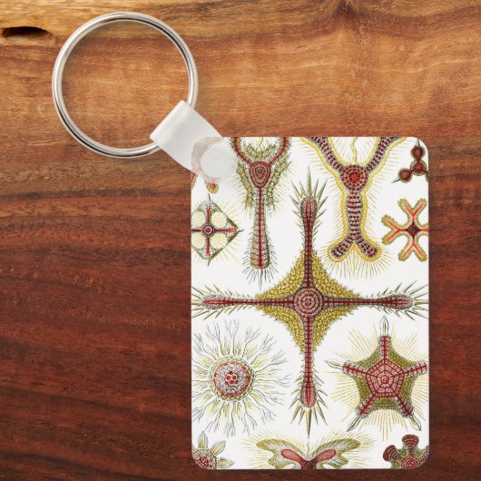 Wild Chamomile door Ernst Haeckel, Natuur Sleutelhanger (Voorkant)