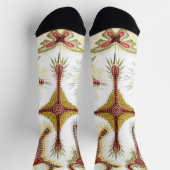 Wild Chamomile door Ernst Haeckel,  Natuur Sokken (Top)