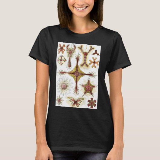 Wild Chamomile door Ernst Haeckel,  Natuur T-shirt (Voorkant)
